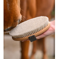 Brosse douce équitation poils de chèvre
