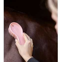 Brosse équitation 3-en-1 pour cheval et équipement