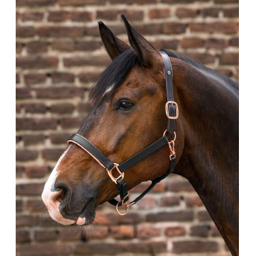 Licol cuir Rosé Waldhausen X-Line Noir