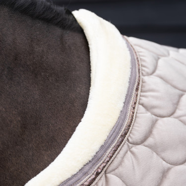 Couverture d'écurie Imperial Riding Bandit Couverture d'écurie Imperial Riding Bandit