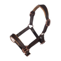 Licol en cuir Or rose Hobby Horsing HKM Marron