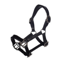 Licol en cuir Verni Hobby Horsing HKM