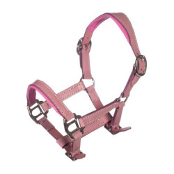 Licol cuir Hobby Horsing rose HKM – équitation enfant