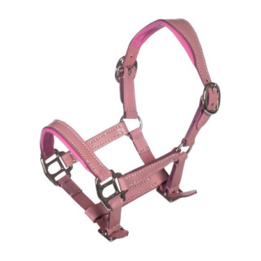 Licol cuir Hobby Horsing rose HKM – équitation enfant