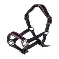 Licol en cuir Manchester Hobby Horsing HKM Noir / fuchsia