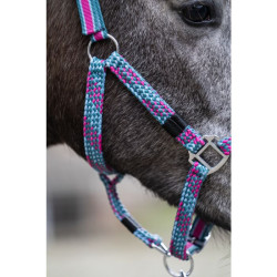 Licol Manchester HKM Magenta / petrol Bleu Licol Manchester HKM Magenta / petrol Bleu
