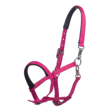 Licol poulain HKM Millie – équipement équitation Licol poulain HKM Millie – équipement équitation