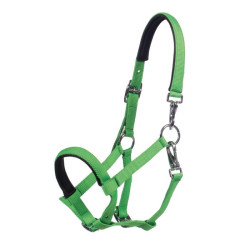Licol poulain HKM Millie – équipement équitation Licol poulain HKM Millie – équipement équitation