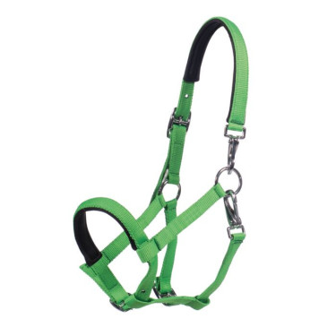Licol poulain HKM Millie – équipement équitation Licol poulain HKM Millie – équipement équitation