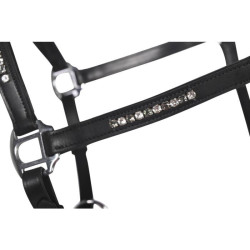 Licol d’équitation en cuir HKM Sparkle – Equi-Clic Licol d’équitation en cuir HKM Sparkle – Equi-Clic
