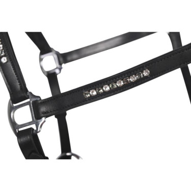 Licol d’équitation en cuir HKM Sparkle – Equi-Clic Licol d’équitation en cuir HKM Sparkle – Equi-Clic