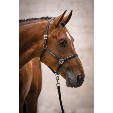 Licol d’équitation en cuir HKM Sparkle – Equi-Clic Licol d’équitation en cuir HKM Sparkle – Equi-Clic
