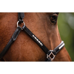 Licol d’équitation en cuir HKM Sparkle – Equi-Clic Licol d’équitation en cuir HKM Sparkle – Equi-Clic