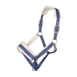 Licol d’équitation rembourré Arezzo Lauria Garrelli Licol d’équitation rembourré Arezzo Lauria Garrelli
