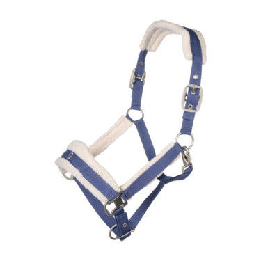 Licol d’équitation rembourré Arezzo Lauria Garrelli Licol d’équitation rembourré Arezzo Lauria Garrelli