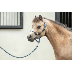 Licol HKM Nele Bleu gris