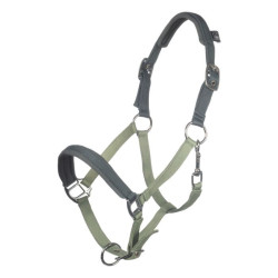 Licol d'équitation poney HKM Barnie confortable