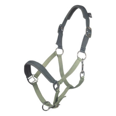 Licol d'équitation poney HKM Barnie confortable