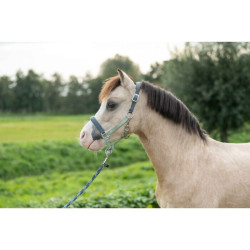 Licol d'équitation poney HKM Barnie confortable