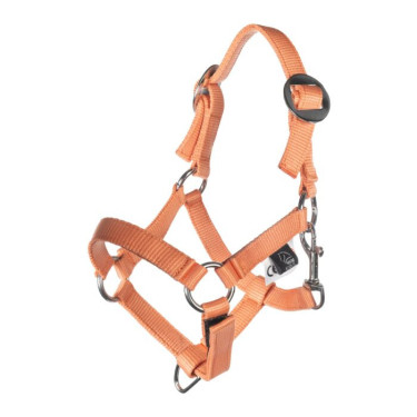 Licol et longe HKM Hobby Horsing Basic Orange Licol et longe HKM Hobby Horsing Basic Orange