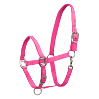 Licol d'équitation Waldhausen Satin confortable