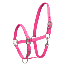 Licol d'équitation Waldhausen Satin confortable