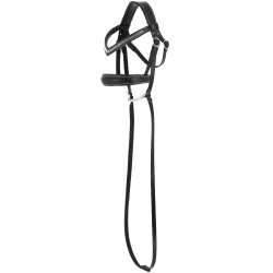 Hobby Horse Pony Academy Bridon anatomique