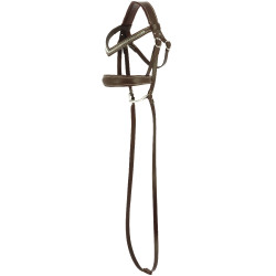 Hobby Horse Pony Academy Bridon anatomique