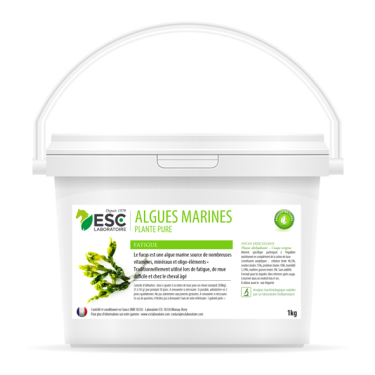 Algues Marines ESC Laboratoire Algues Marines ESC Laboratoire