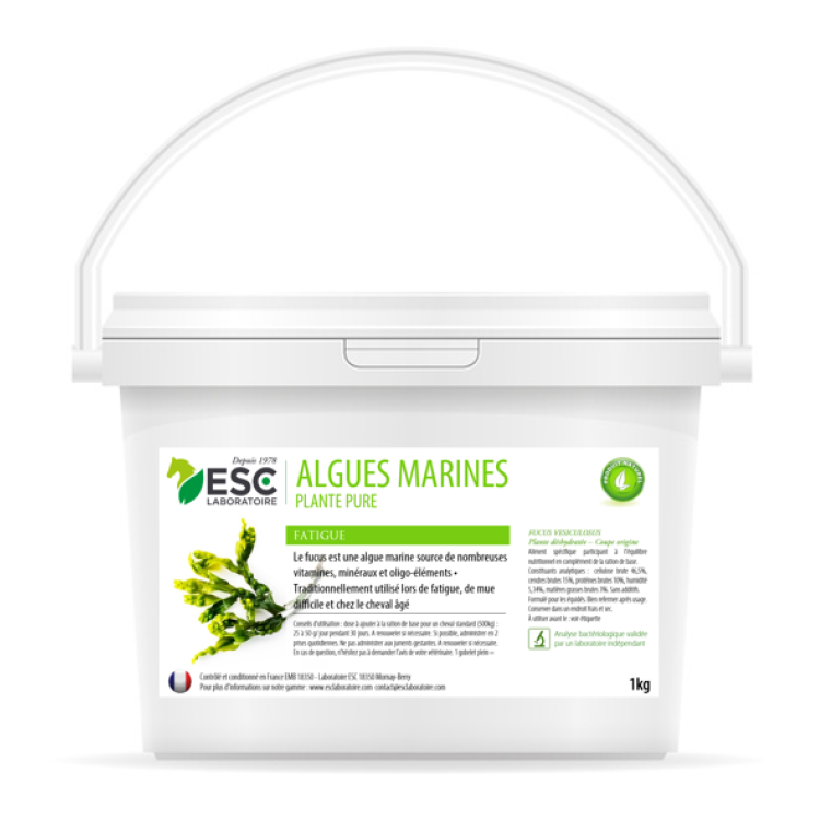 Algues Marines ESC Laboratoire