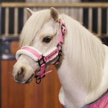 Licol HV Polo Sacha Pensez rose Licol HV Polo Sacha Pensez rose