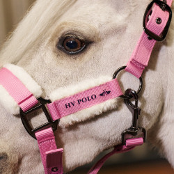 Licol HV Polo Sacha Pensez rose Licol HV Polo Sacha Pensez rose