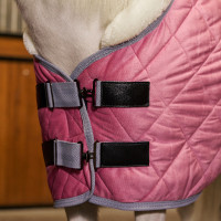 Couverture d'écurie HV Polo Sacha Pensez rose