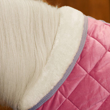 Couverture d'écurie HV Polo Sacha Pensez rose Couverture d'écurie HV Polo Sacha Pensez rose