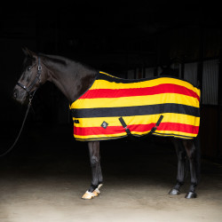 Couverture polaire Imperial Riding Stripe Or Couverture polaire Imperial Riding Stripe Or