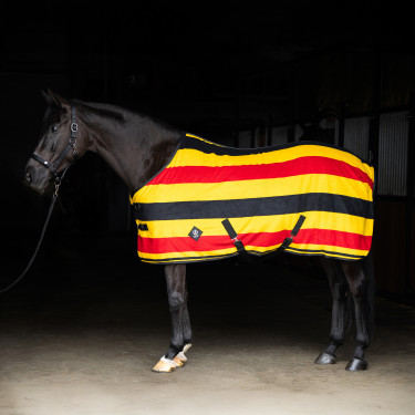 Couverture polaire Imperial Riding Stripe Or Couverture polaire Imperial Riding Stripe Or