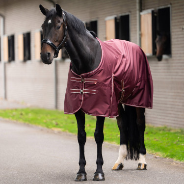 Couverture de paddock Imperial Riding Basic sans couvre-cou Fleece Rouge profond