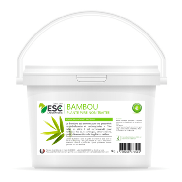 Bambou ESC Laboratoire Bambou ESC Laboratoire