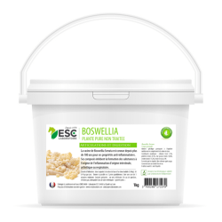 Boswellia Serrata ESC Laboratoire