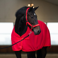 Licol Imperial Riding Devil Rouge