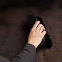 Brosse Dandy long hair Euro-Star Belleza Noir