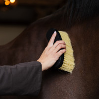 Brosse Dandy banana Euro-Star Belleza Noir