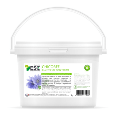 Chicorée ESC Laboratoire Chicorée ESC Laboratoire