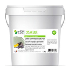 Cicargile ESC Laboratoire
