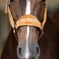 Licol HV Polo Luxury Camel Marron