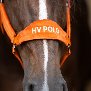 Licol HV Polo Luxury Pumpkin Orange Licol HV Polo Luxury Pumpkin Orange