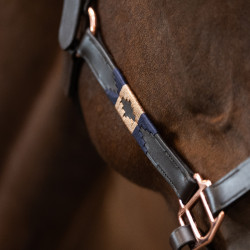 Licol HV Polo Chaya Marron / marine Licol HV Polo Chaya Marron / marine