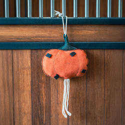 Jouet d’écurie pour cheval HV Polo Pumpkin – équitation Jouet d’écurie pour cheval HV Polo Pumpkin – équitation