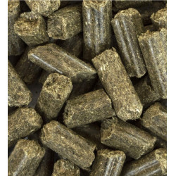 Equigood Eucalyptus ESC Laboratoire