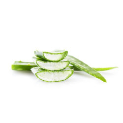 Gel d’Aloe Vera ESC Laboratoire Gel d’Aloe Vera ESC Laboratoire